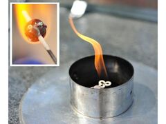 k31Nu1.17]̓v̕łƂڋʂ̐̌̎ʐ^1