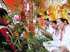 �t���̏\�����т��̎ʐ^1