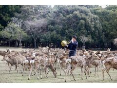 �~�̎��񂹂̎ʐ^1