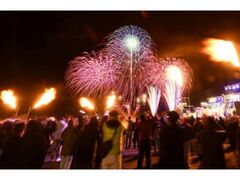 a̎R}[iVeB@j[C[Y@JEg_E̎ʐ^1