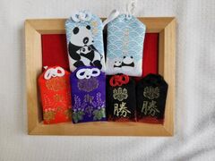 �F��O���_�� ���w�̎ʐ^1