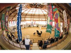 �B�򋍓˂����ꏊ���̎ʐ^1