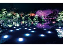 Ru@̓{뉀@WpO`JIPANG`̎ʐ^1