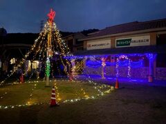 VNEFCɂ͂@NX}XC~l[V̎ʐ^1