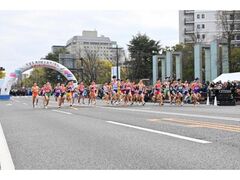 Vcu@Ss{΍Rjqw`̎ʐ^1