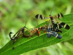 ނނʐ^ReXgDGiW̎ʐ^1