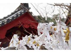 �L�����Ƌ{�@���w�̎ʐ^1