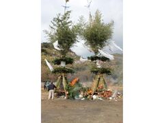 ��֐_���Ղ̎ʐ^1