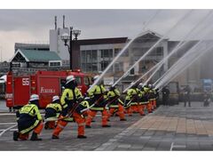 �����s���h�o�����̎ʐ^1