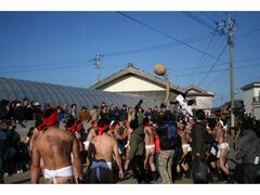 �w�g�}�g�̎ʐ^1