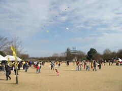 F{_ƌJg[p[N@Vt̎ʐ^1