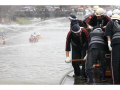 ���h�o�����i��������j�̎ʐ^1