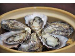 �������c�J�L�����u���l�����v�̎ʐ^1