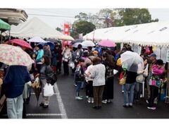 ΂̎sucނ܂v̎ʐ^1