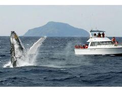 ���Ԗ����z�G�[���E�H�b�`���O�̎ʐ^1