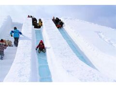 ���݂ӂ�̐�܂�̎ʐ^1