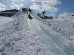 ���_���ނ��ׂ�Ղ�̎ʐ^1