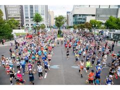 �k�C���}���\���̎ʐ^1