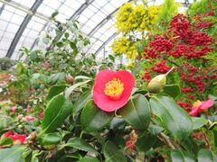 �c�o�L�W�@�`�ÓT���|�A�����ő勉�̃R���N�V�����`�̎ʐ^1