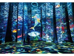 ��������̐؂�G�W�@�`�����������āA�܂ق�����`�̎ʐ^1