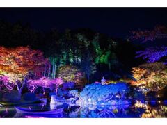 �A�L�E���~�i�|AKIU LUMINA�|���̂���2026�̎ʐ^1