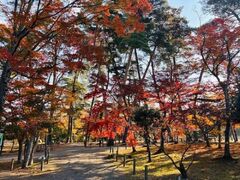 �{��쉲�O���̍g�t�̎ʐ^1
