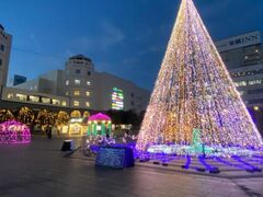 Hitachi Starlight Illumination 2026�̎ʐ^1