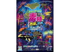 Light Acuario�@�h�N���Ƃ����Ⴄ�@�œ��ȐF�ʂ̐��E�̎ʐ^1