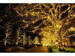 MIDTOWN CHRISTMAS 2026�̎ʐ^1
