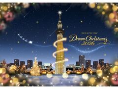 �����X�J�C�c���[�^�E���iR�j�h���[���N���X�}�X�̎ʐ^1