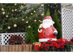 ���W���u�N���X�}�X�W�v�`�T���^����܂������ł��I�A�����̂���Ă�ڂ��N���X�}�X�`�̎ʐ^1