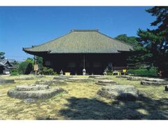 ���厛�@�t�̑咃�����̎ʐ^1