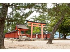 �����_�ЍՂ̎ʐ^1