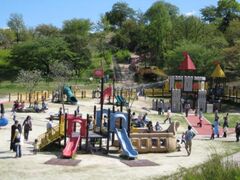 �������s�s�Ή��t�F�A�̎ʐ^1