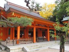 �}�O����V�{�@�Z�g�_�Ё@���P���̎ʐ^1