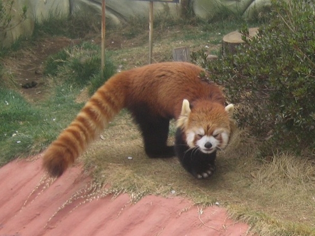 �b�{�s�V�T��������������