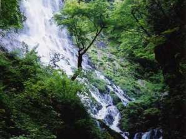 天滝