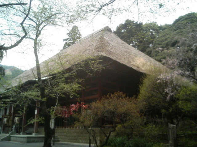 ���V������t