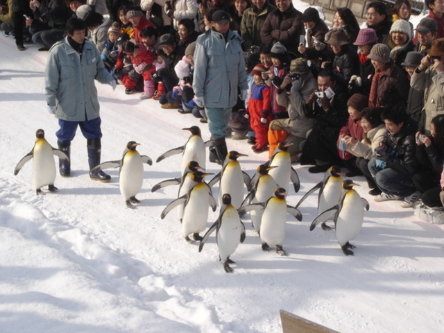 ���R������