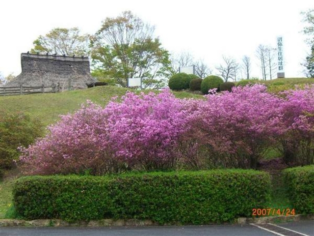 ���퐶���Z����