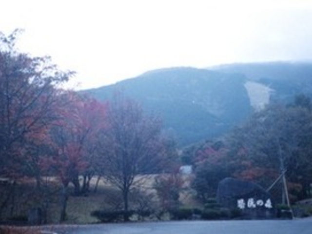 �Ђ낵�܌����̐X