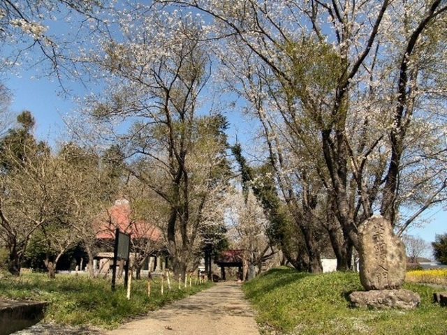 Theta������̋������̓��e�ʐ^1