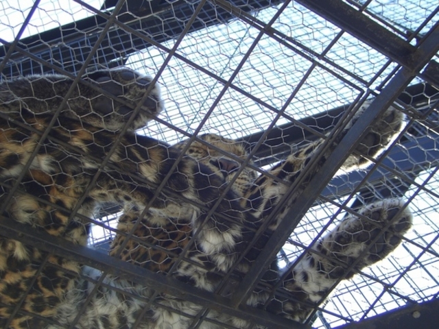 ���R������