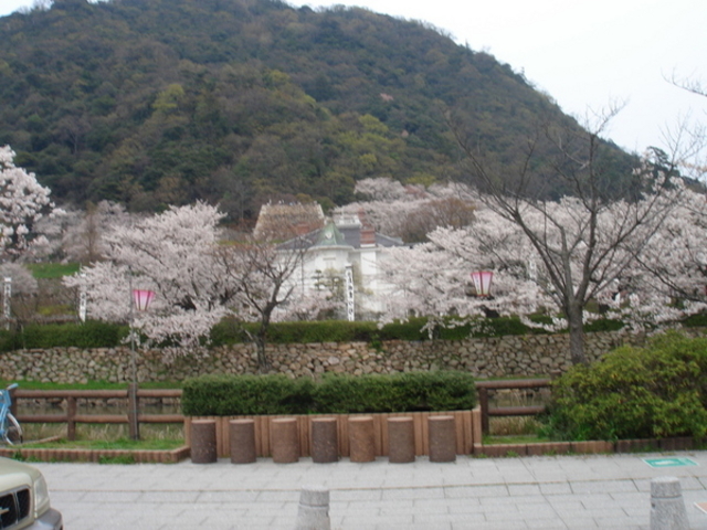 �����Ղ̍�