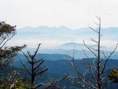 直ちゃんさんの茶臼山山頂展望台への投稿写真1