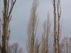 ΂ނ̖k|v؂ւ̓eʐ^1