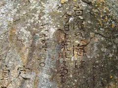 ���g�̔�̎ʐ^1