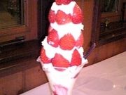 イ̃XgVFthtX̓eʐ^1