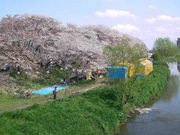 Ђ끚Ђ낳̖kzJ̍̓eʐ^1