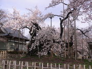 �������񂳂�̎R���_����̓��e�ʐ^1